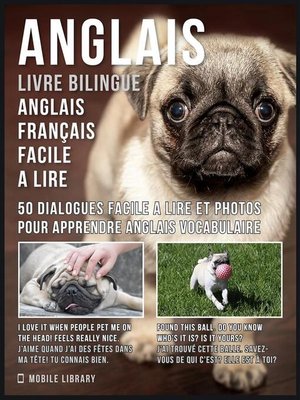 cover image of Anglais--Livre Bilingue Anglais Français Facile a Lire